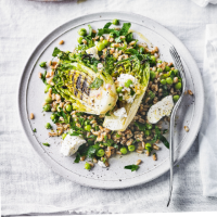 Grilled lettuce & pea salad with spelt goat's cheese